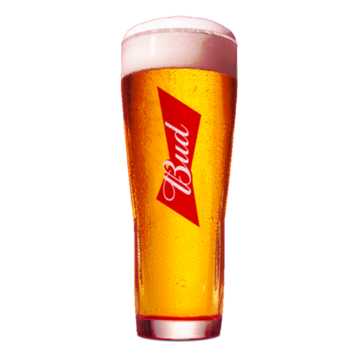 BUD GLAS 50 CL                - 6 ST